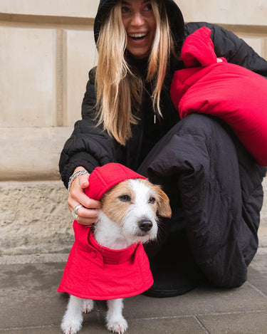 Woman in black coat with red hood petting a dog wearing a red coat on a stone pavement.