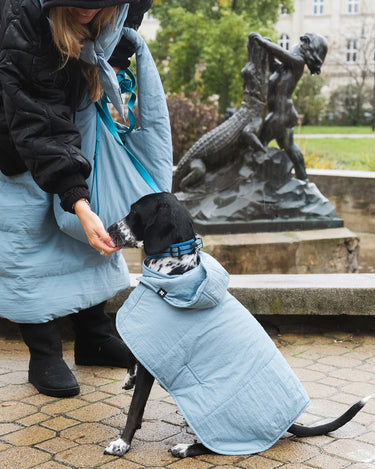Person in a long light blue skirt with a dog wearing a matching coat, standing in an outdoor setting with a statue in the background.