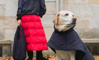 How to Care for Your Vegan Shoes - So They Last for Years