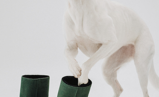 Title of Blog Post 2