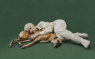 Fashion Without Suffering -  The Truth About Animal Abuse in Fashion