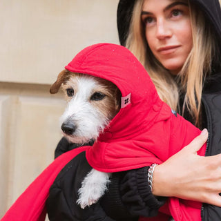 Dog Vegan Hoodies