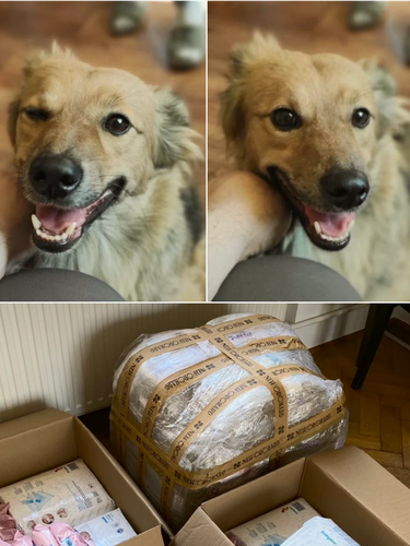 Dog and the shoe packages