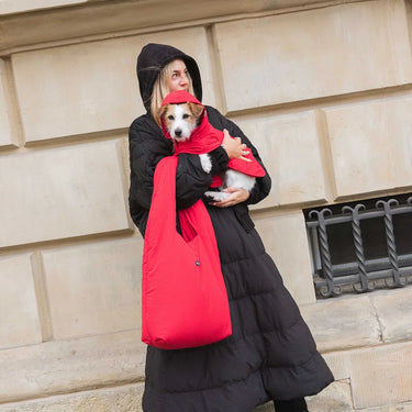 Person wearing a black skirt with a small dog, standing against a beige wall.